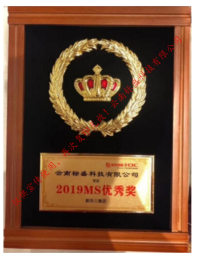 19年MS优秀奖