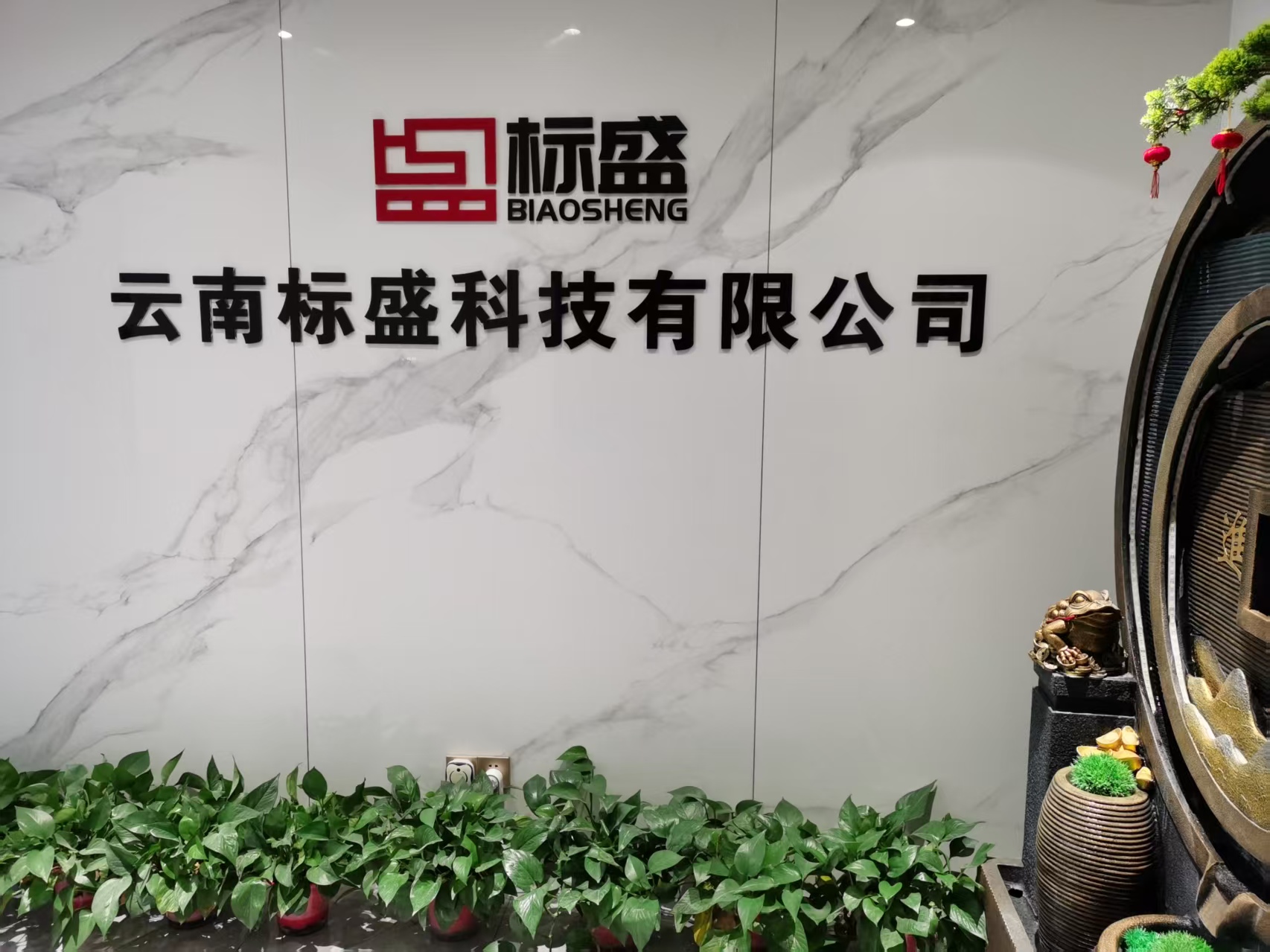  云南标盛科技有限公司