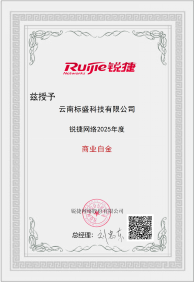 锐捷网络商业白金