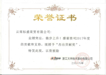 大华2018年杰出贡献奖