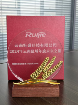 锐捷网络2024年未来之星