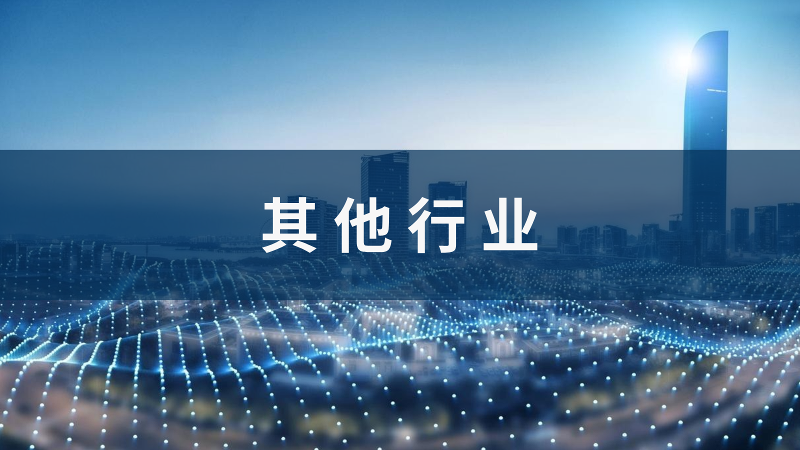 其他行业