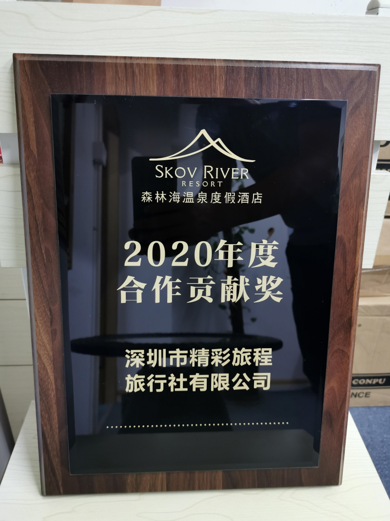 森林海温泉度假酒店 2020 年度合作贡献奖