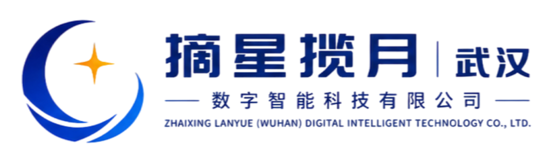 摘星揽月（武汉）数字智能科技有限公司
