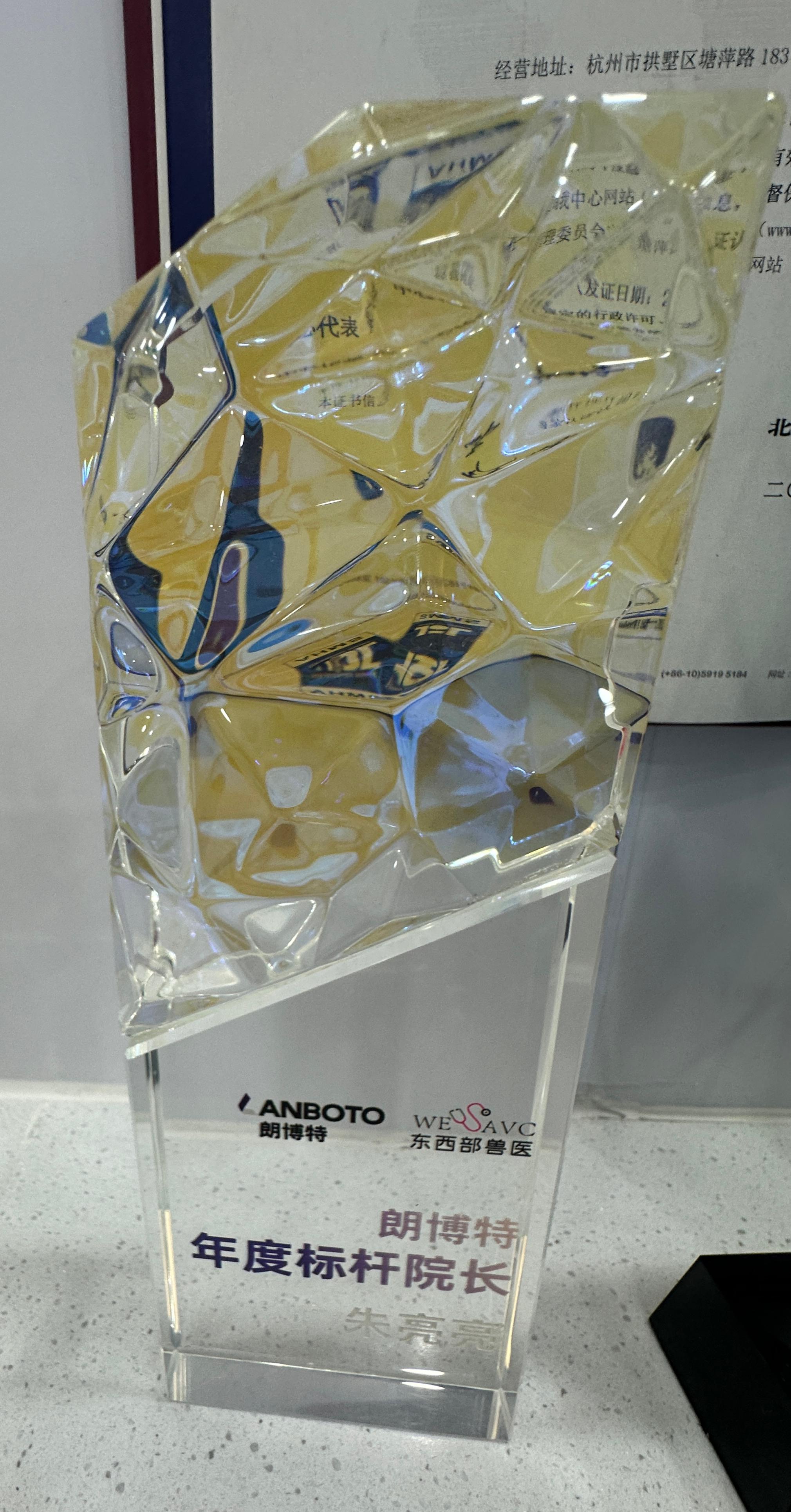 年度标杆院长