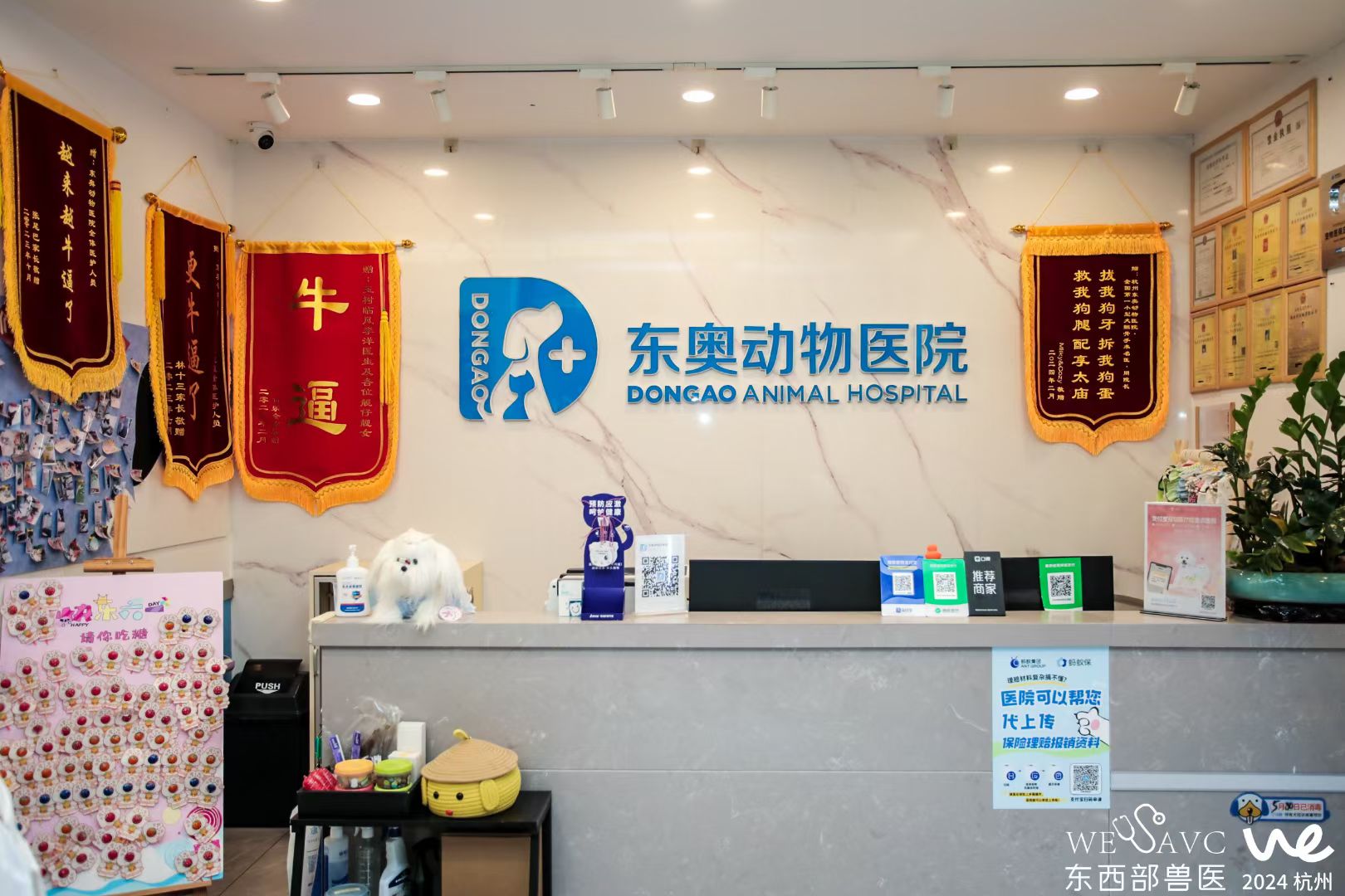 东西部9