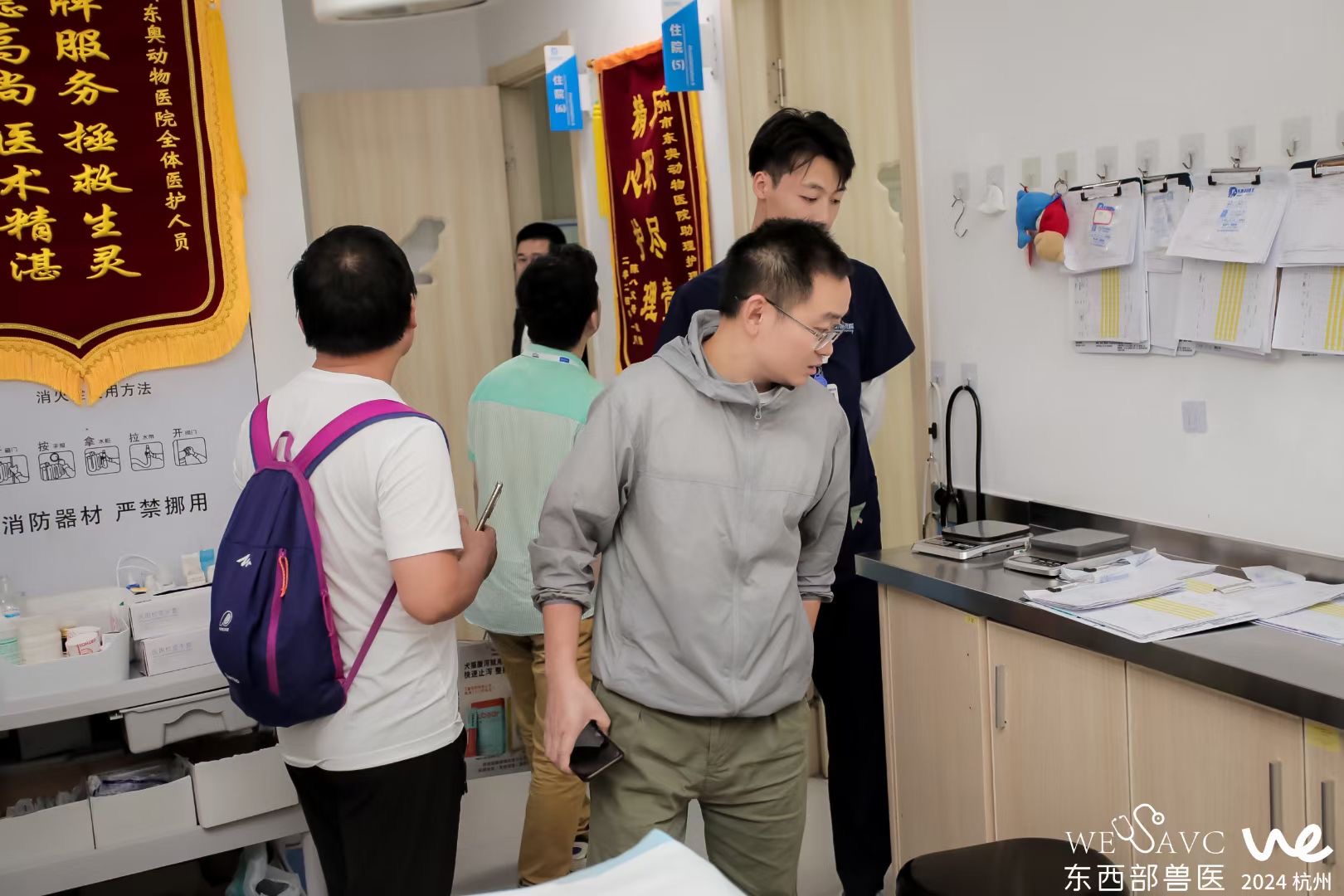 东西部5