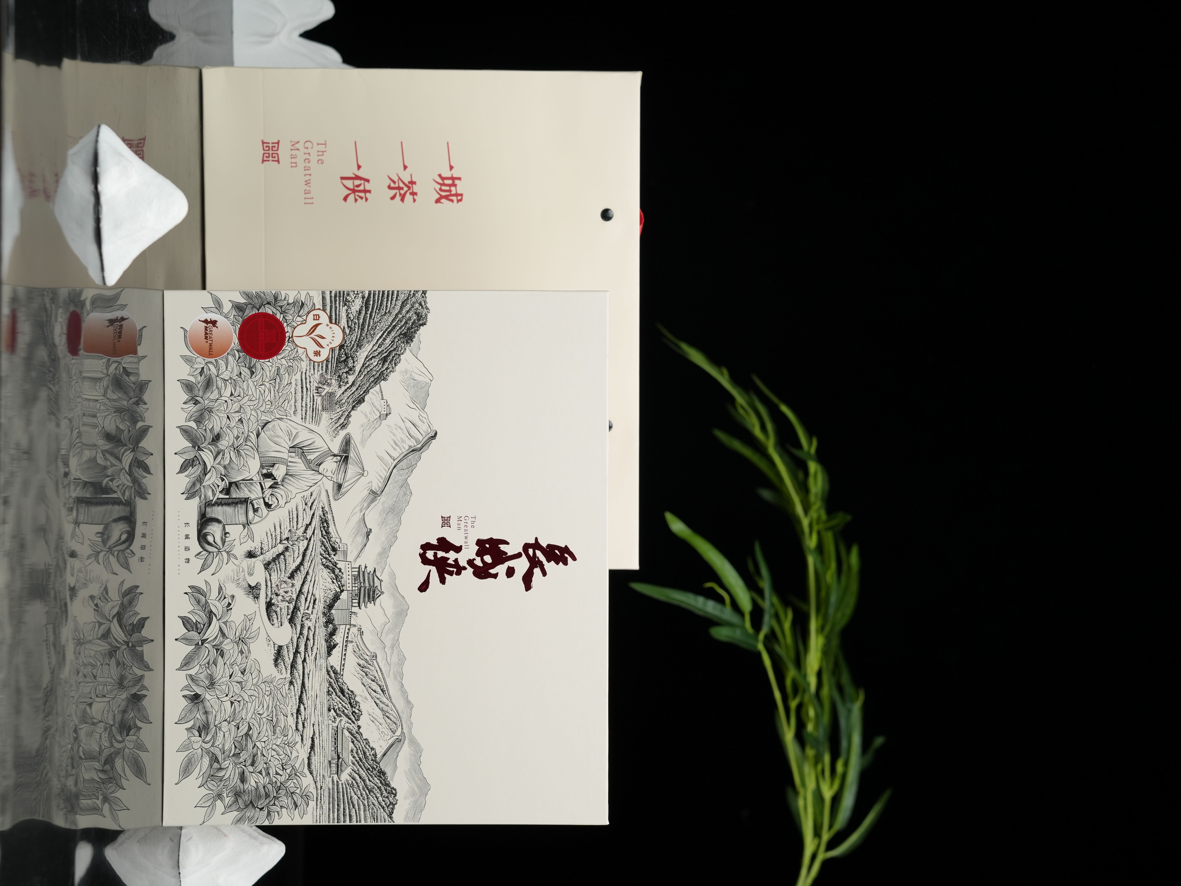 长城侠