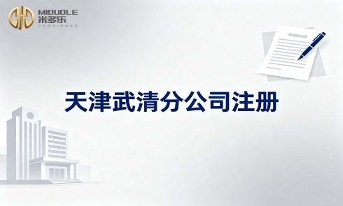 2026年武清财税服务团队实力盘点：米多乐如何以团队化模式领跑行业