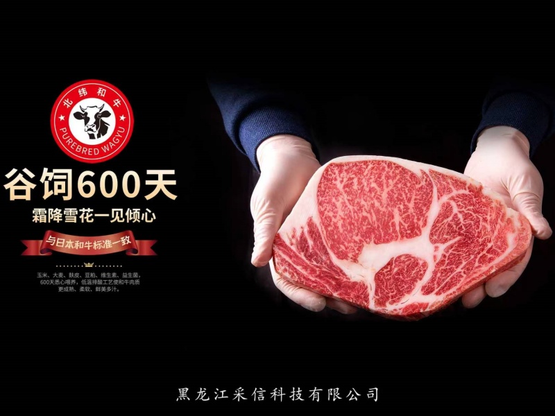 客户案例