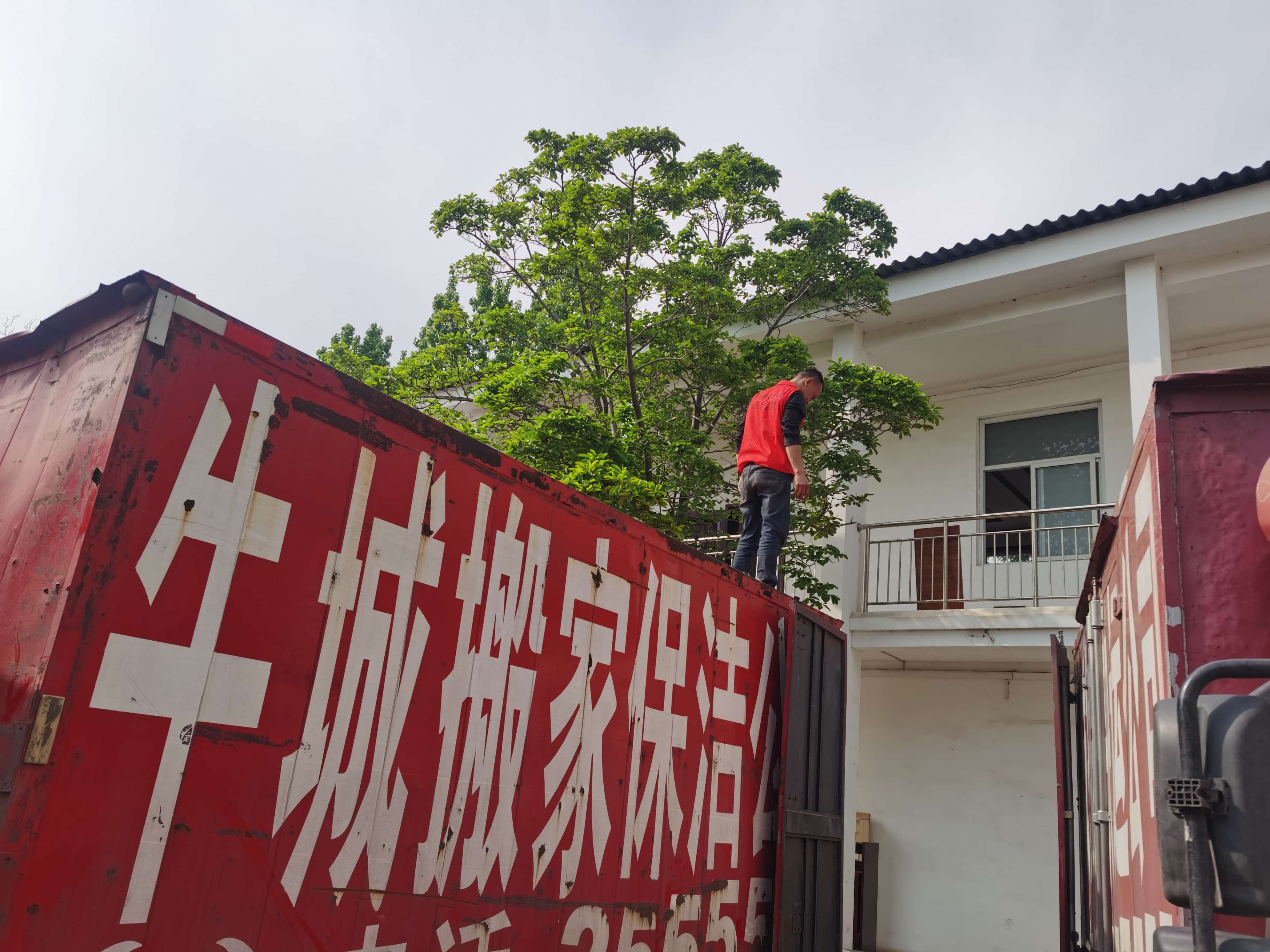 牛城搬家