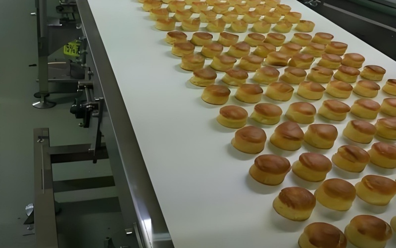 食品输送带