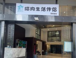 2026年近期深圳买宠平台联系指南：如何找到靠谱伴侣宠物来源