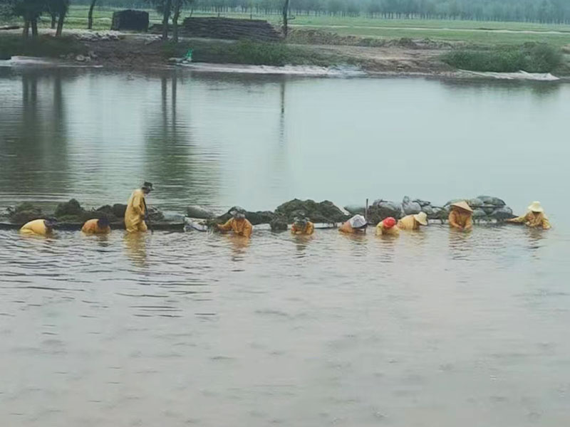  河北省源发水生植物浮岛种植有限公司