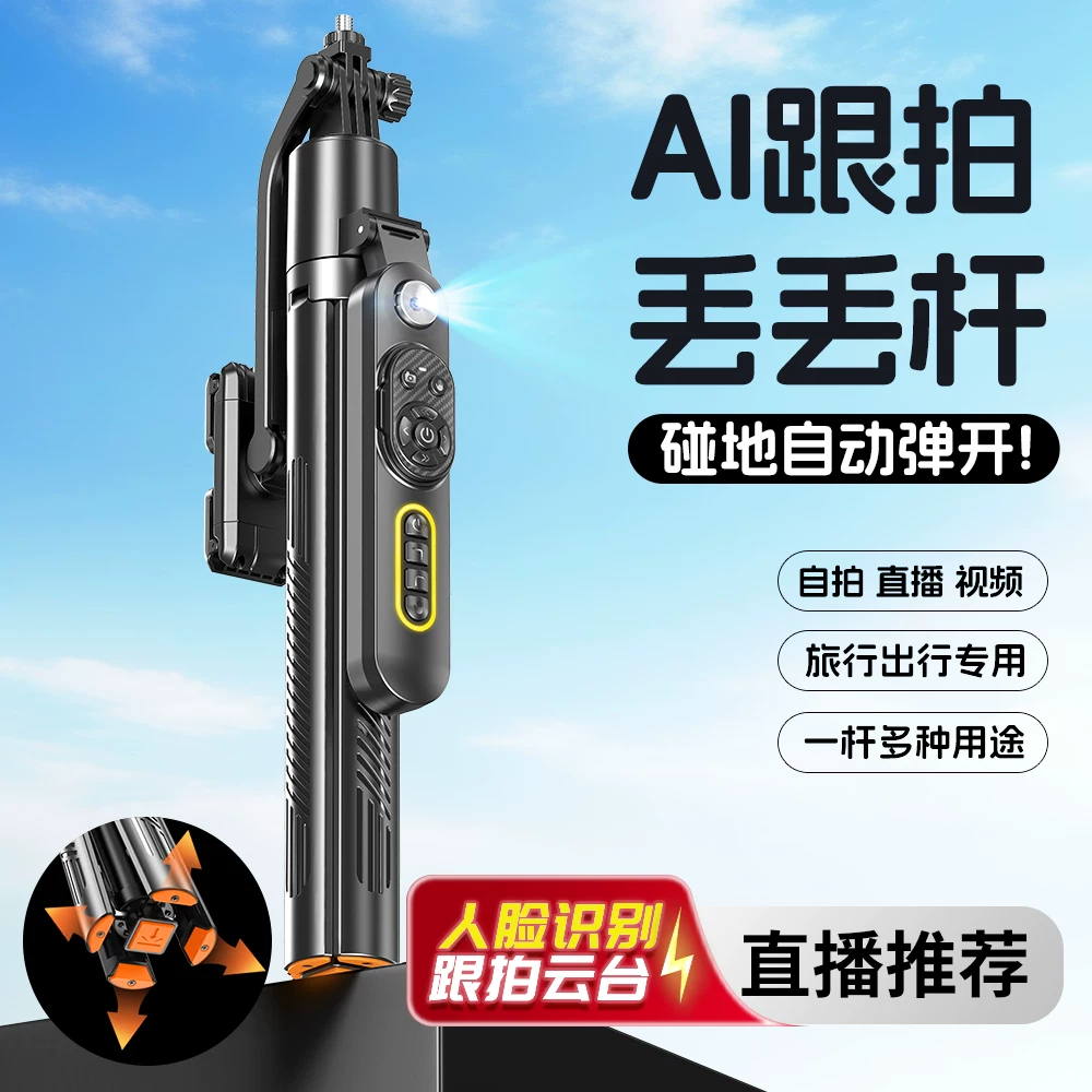 支架