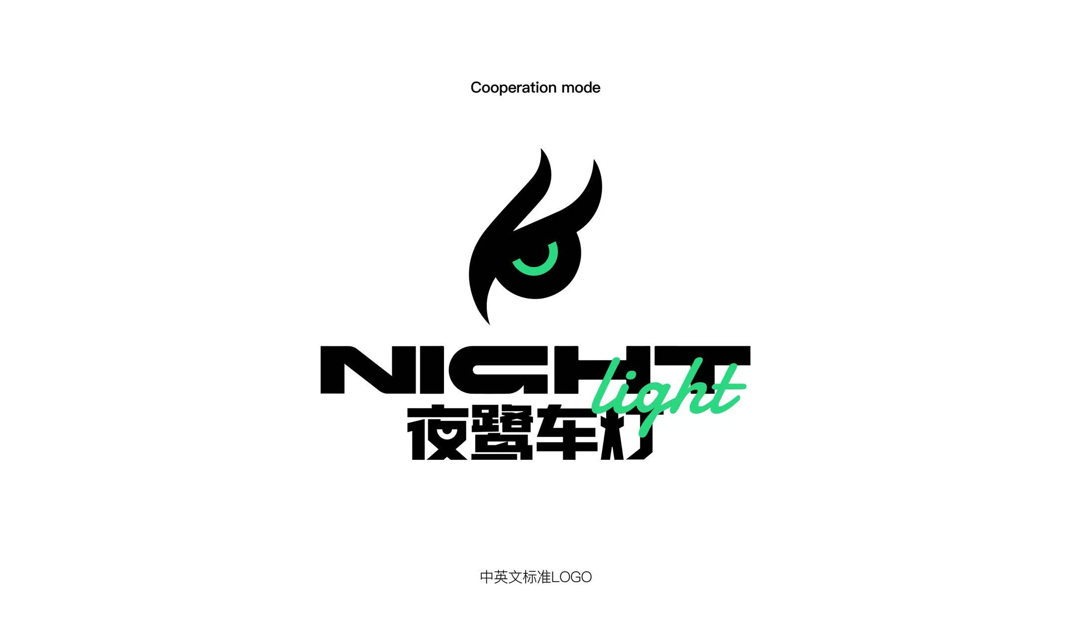 郑州夜鹭车灯