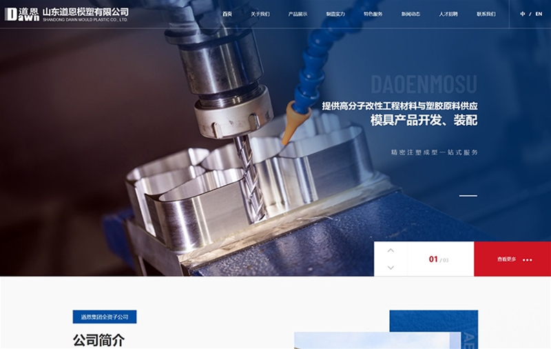 山东道恩模塑有限公司 