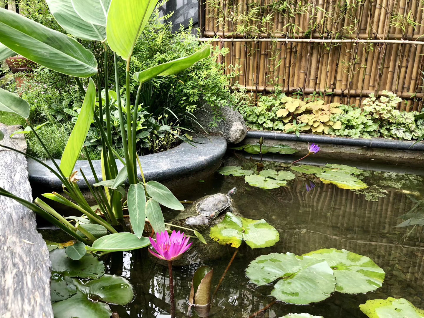 案例