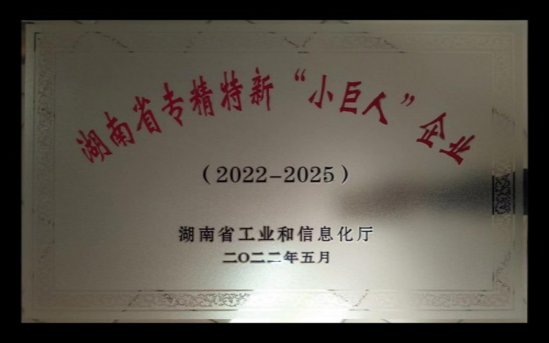 湖南省专精特新“小巨人”企业