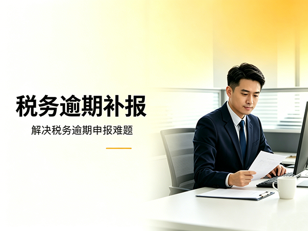 税务逾期补报