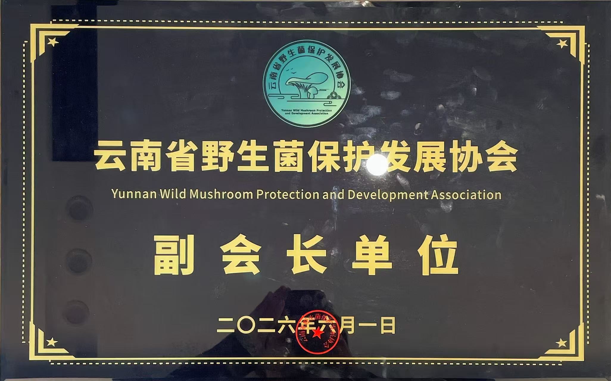 荣誉资质