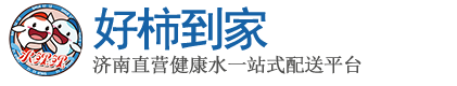 济南好柿到家供应链管理有限公司