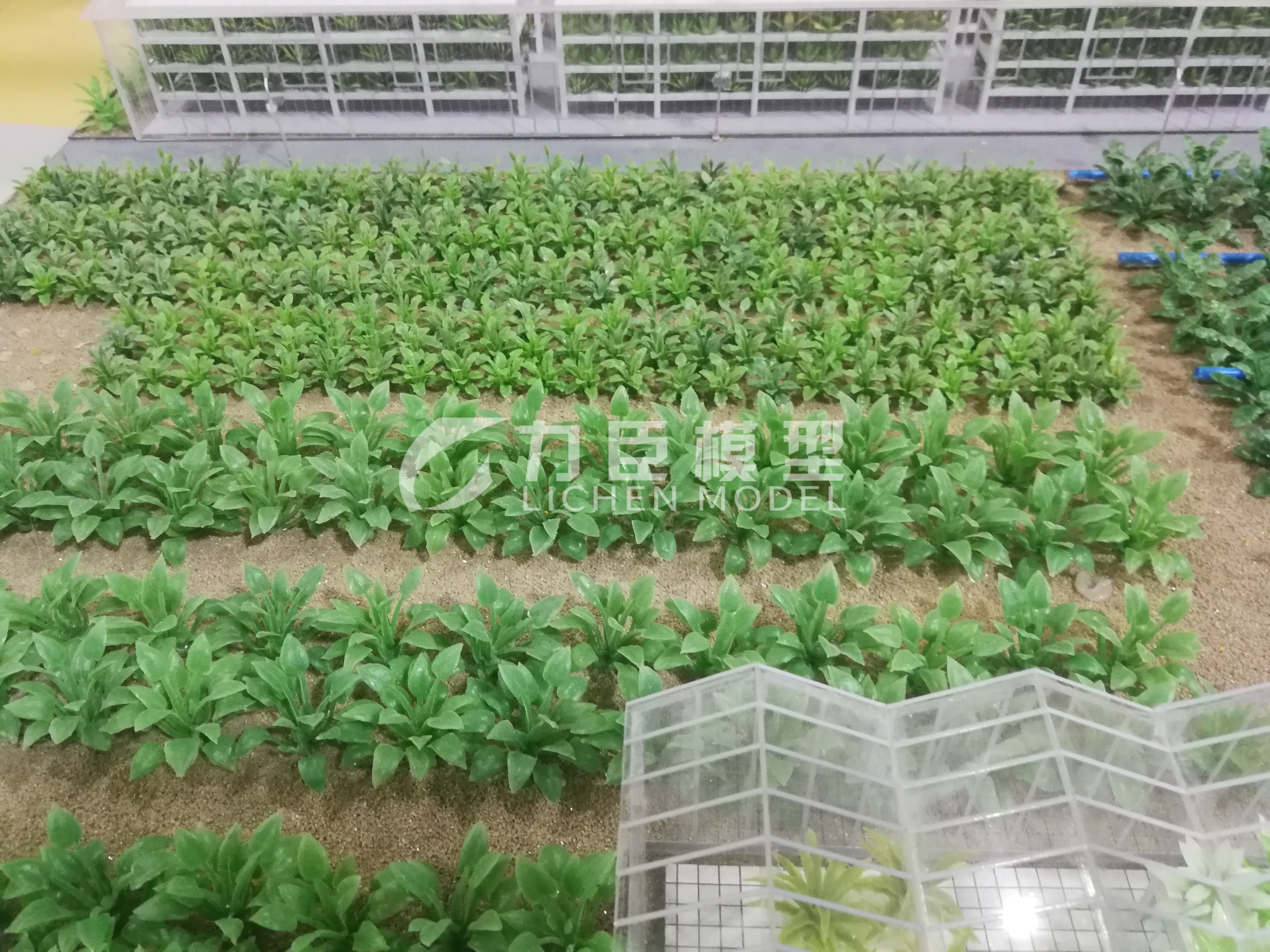 农业种植模型8