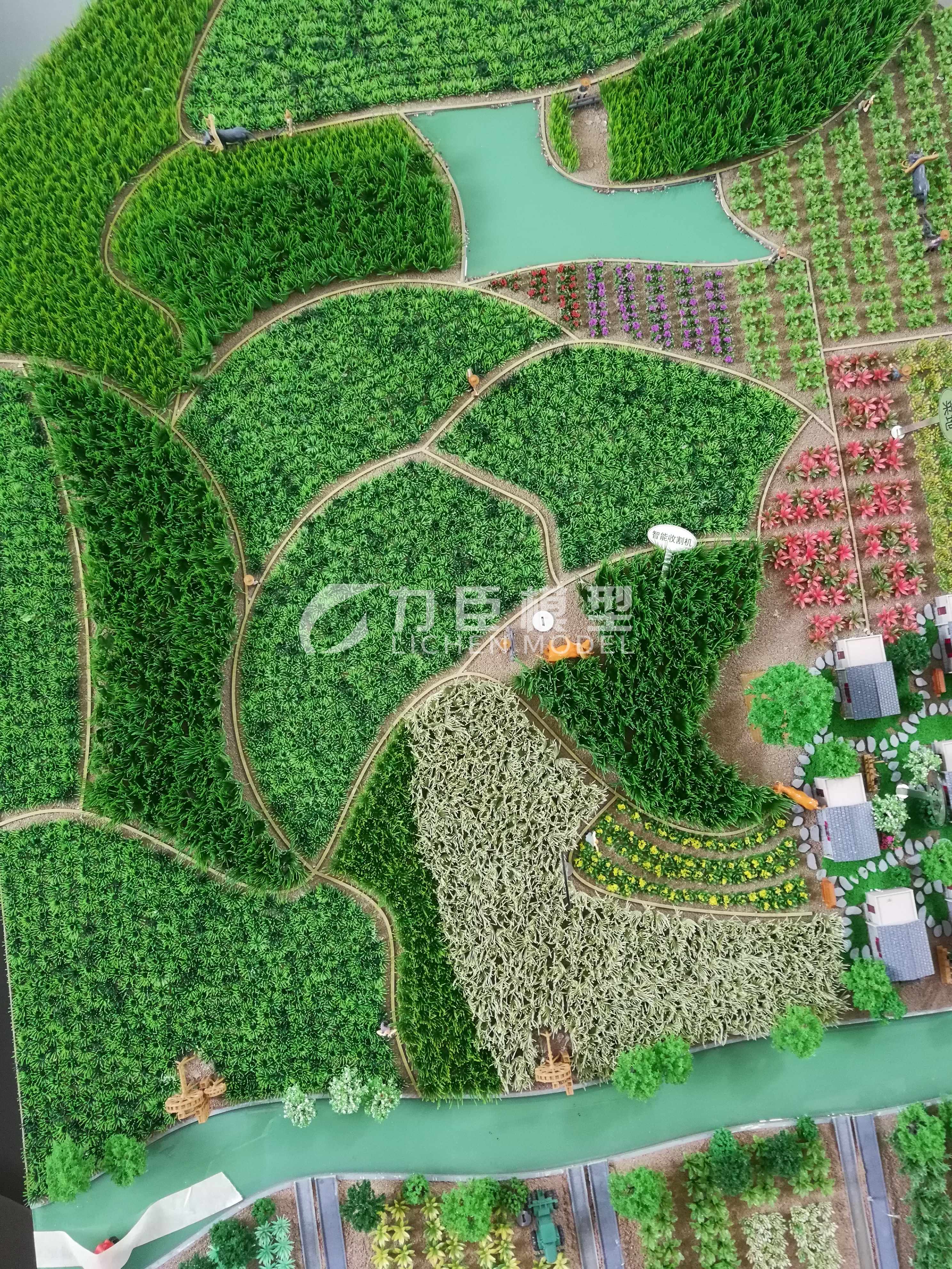 农业种植模型14