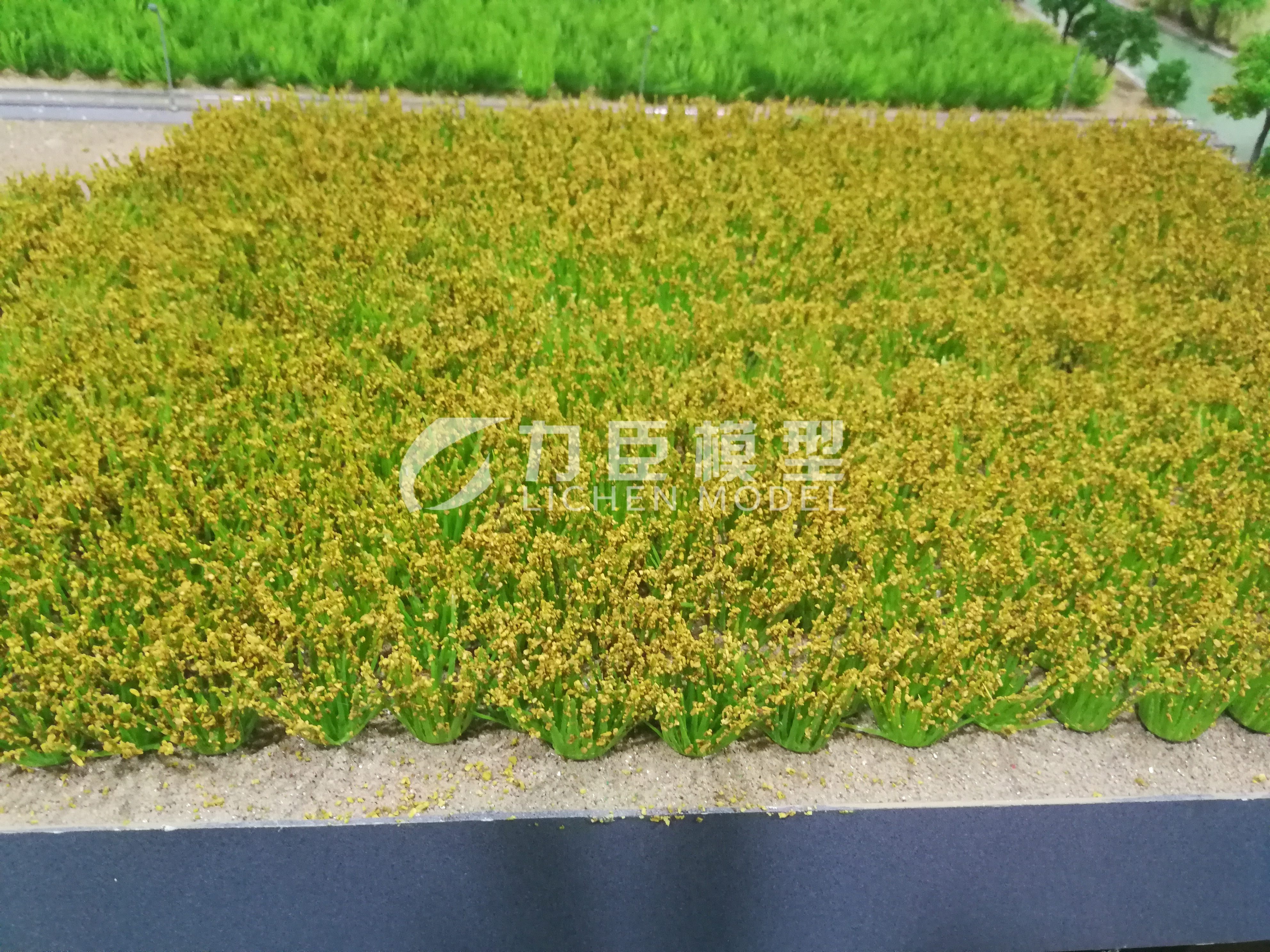 农业种植模型10