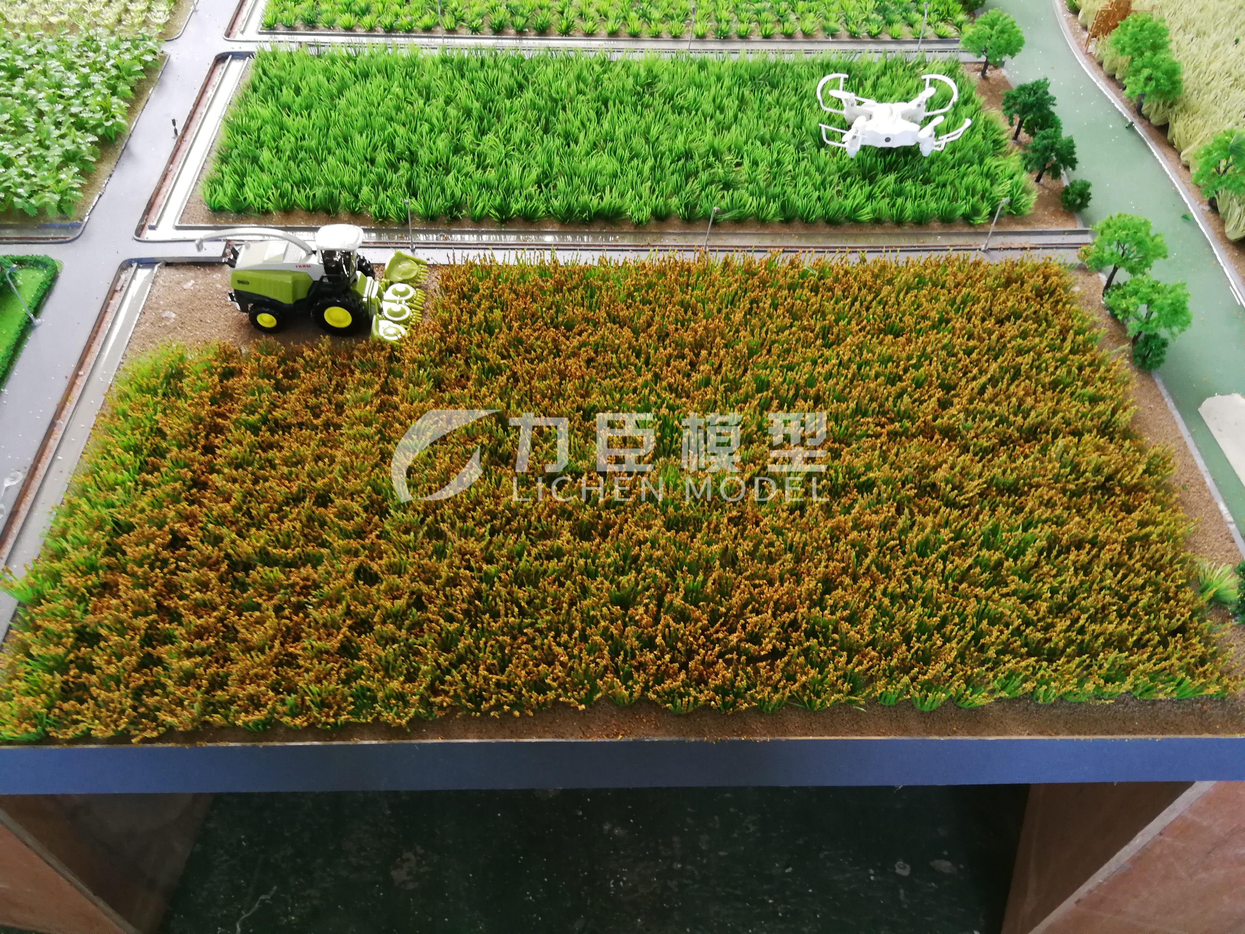 农业种植模型4