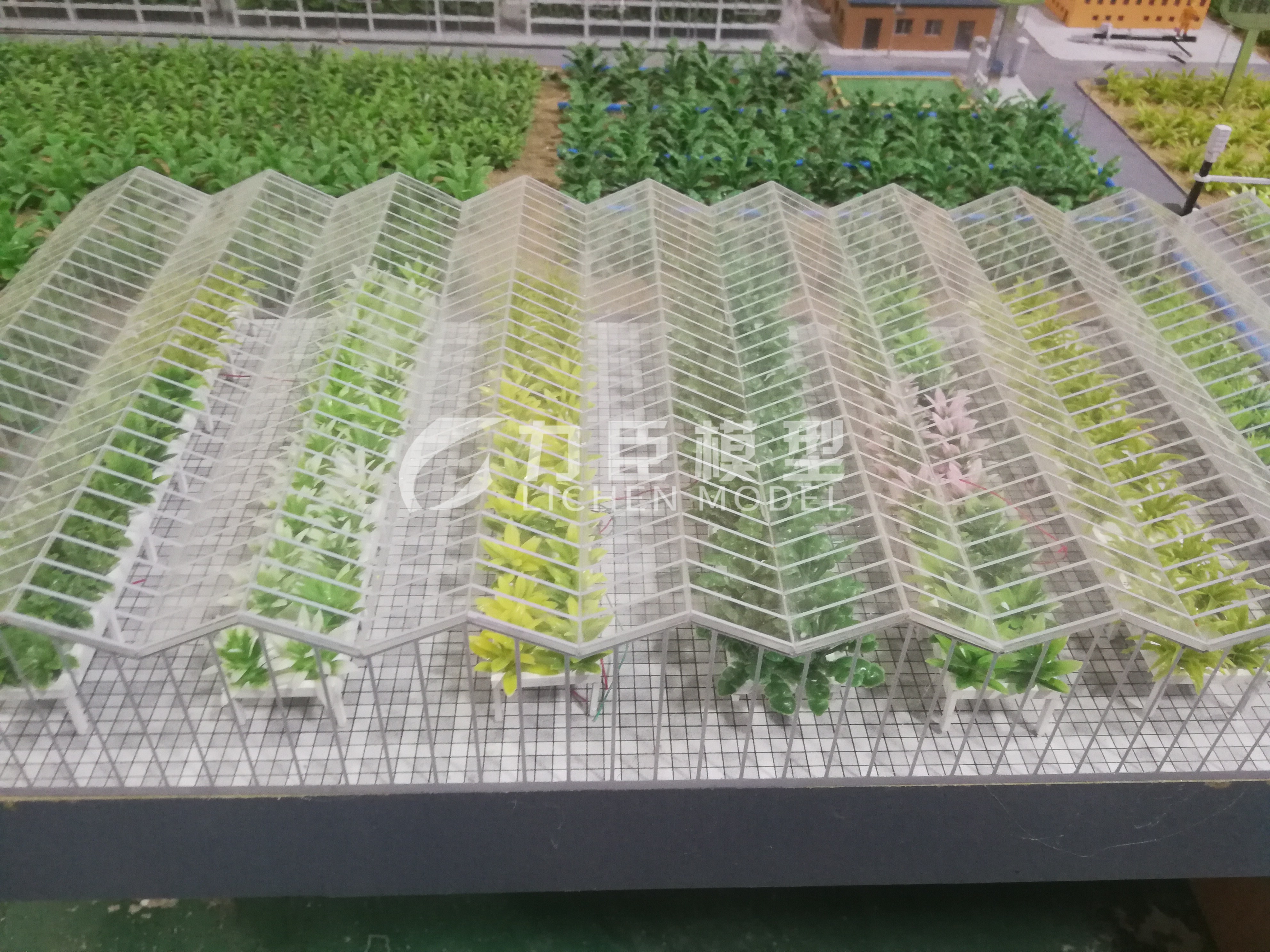 农业种植模型9
