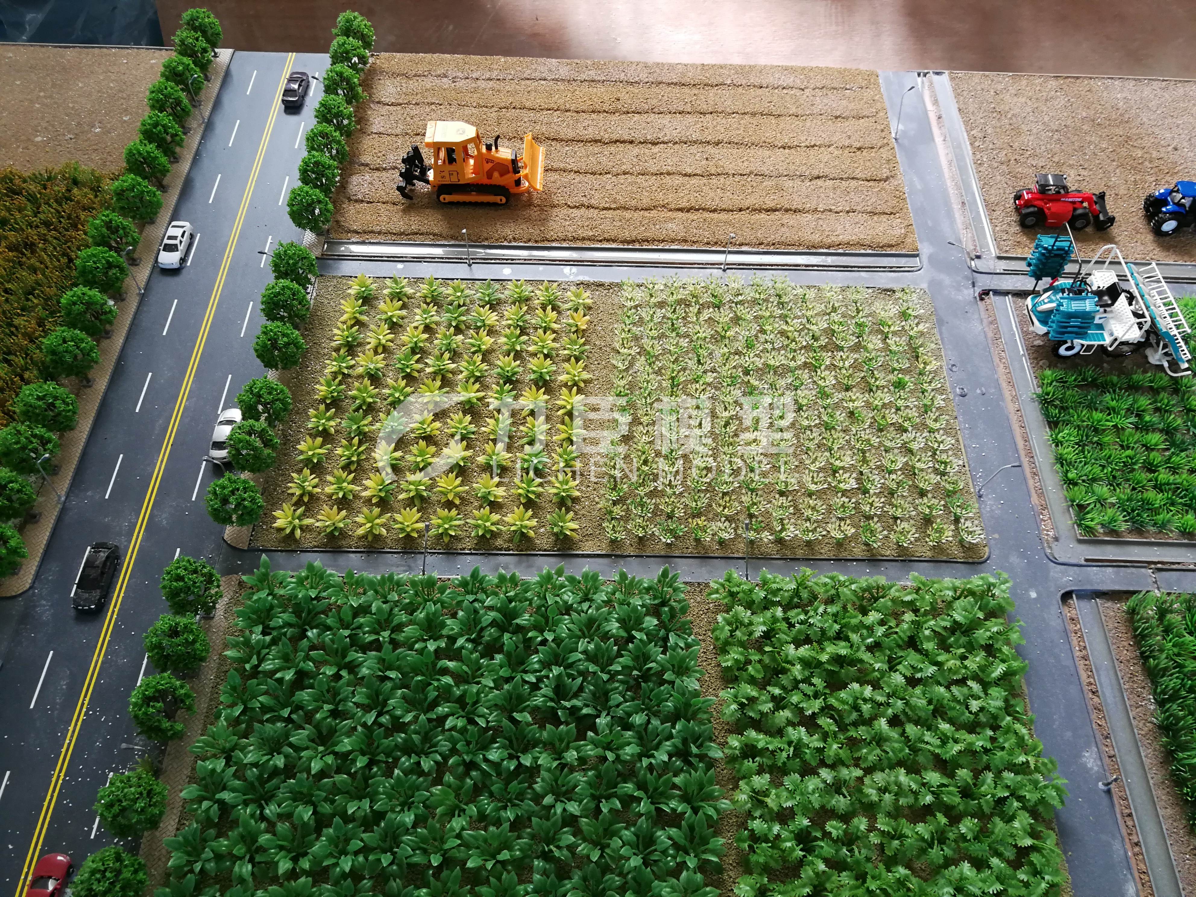 农业种植模型2