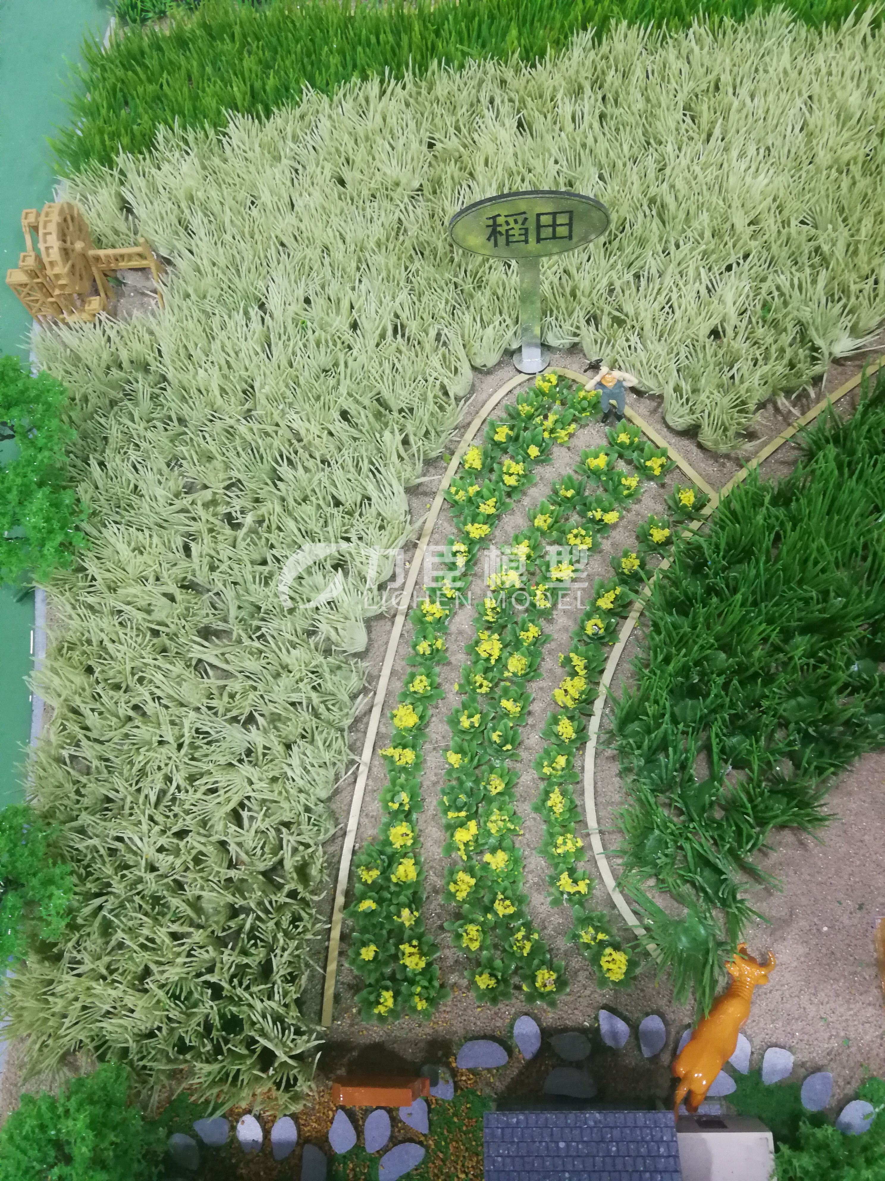 农业种植模型6