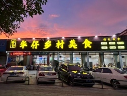 佛山市禅城区华仔乡村美食店