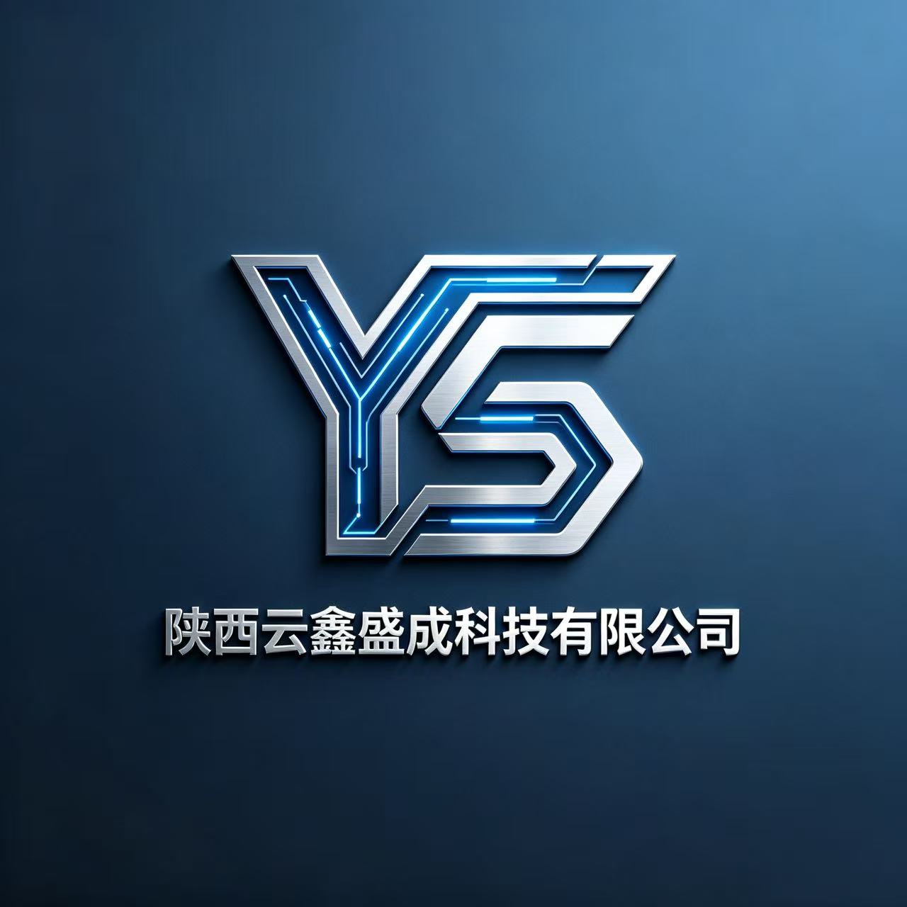陕西云鑫盛成科技有限公司