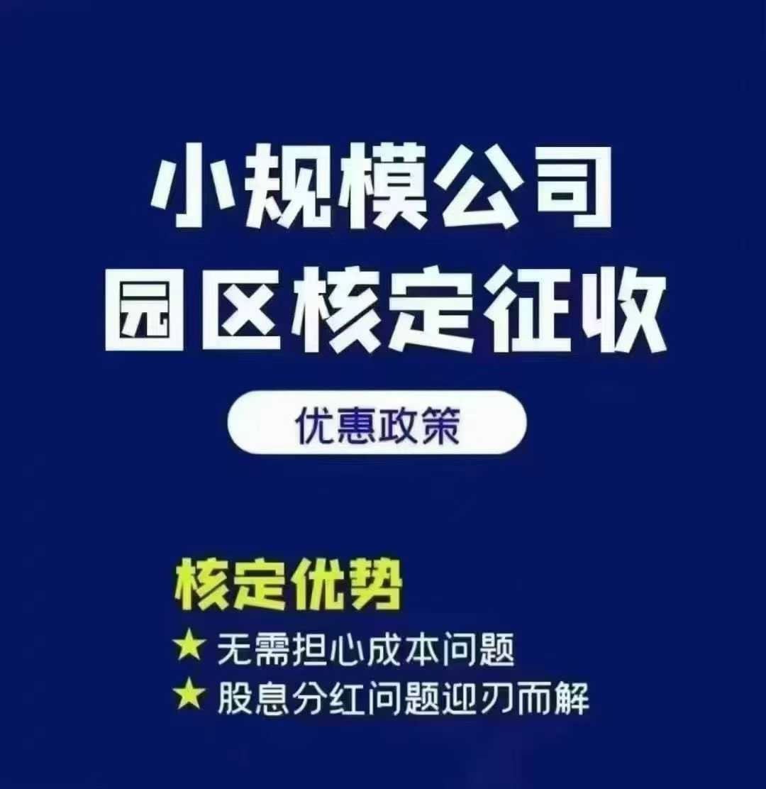 小规模公司园区核定征收
