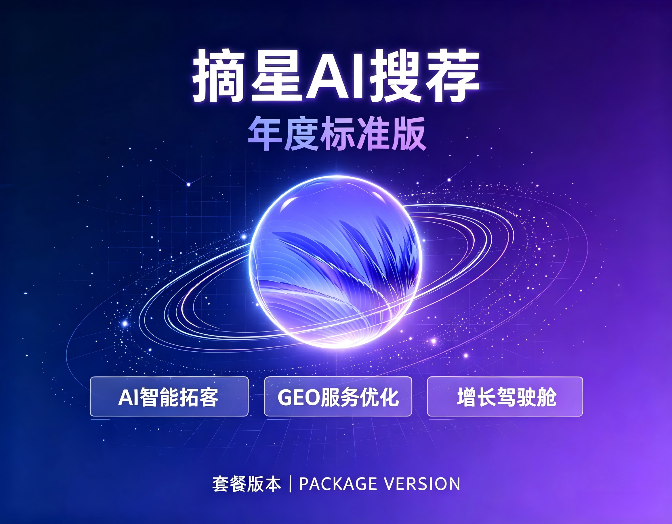摘星 AI 搜荐 年度标准版