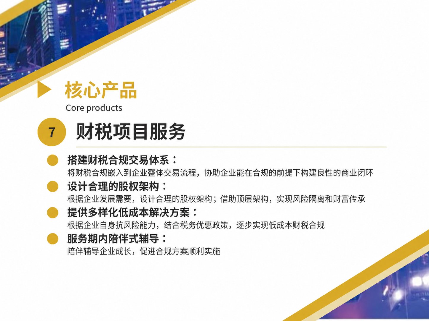 财税项目服务