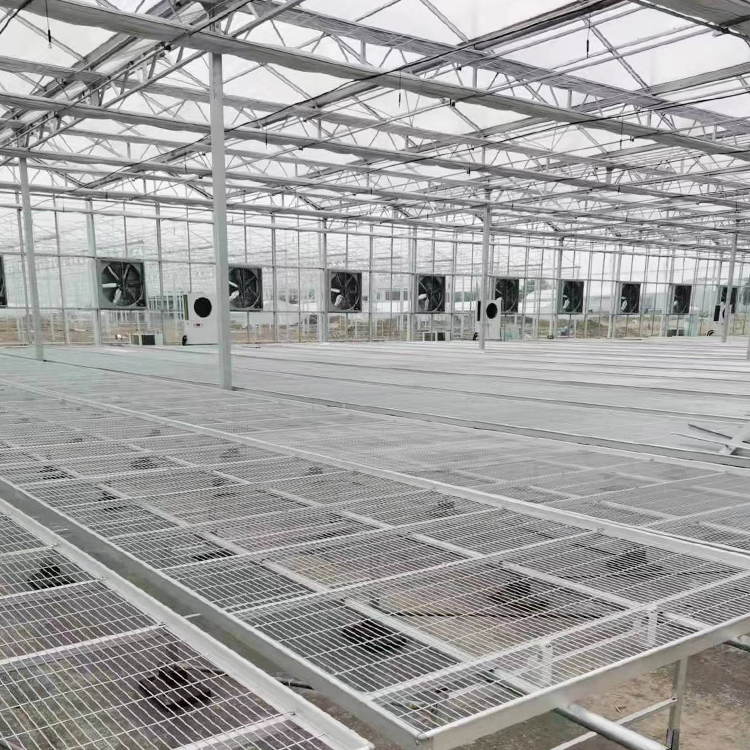 玻璃温室全新升级 打造现代化种植空间