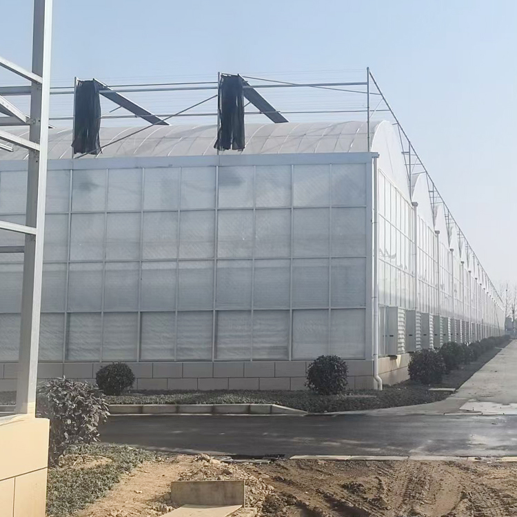 连栋温室大棚