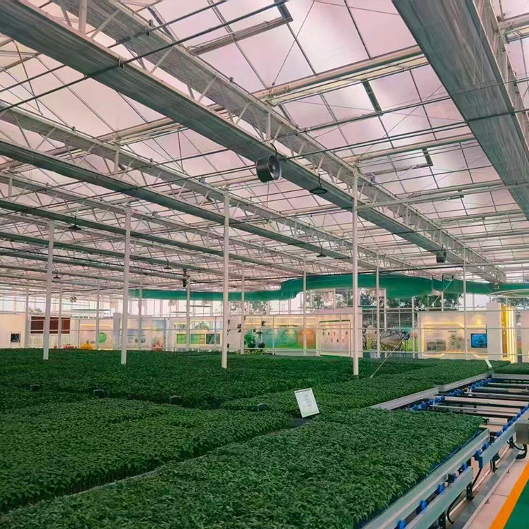 智能玻璃温室大棚