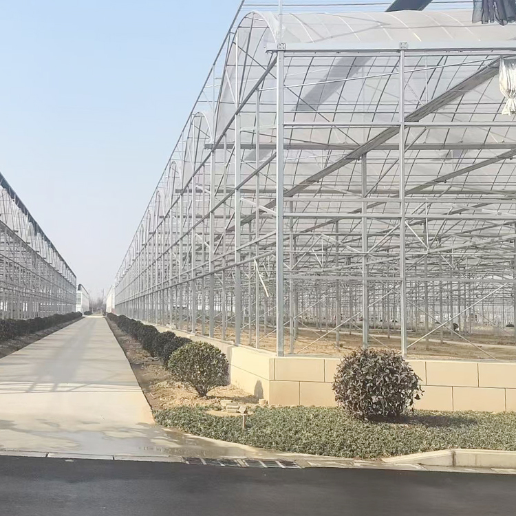 连栋温室大棚