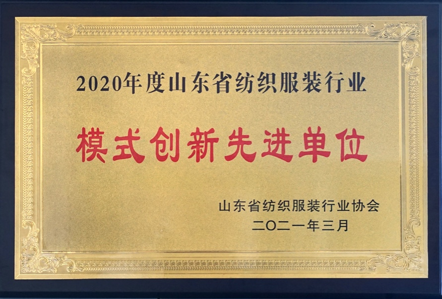 模式创新先进单位