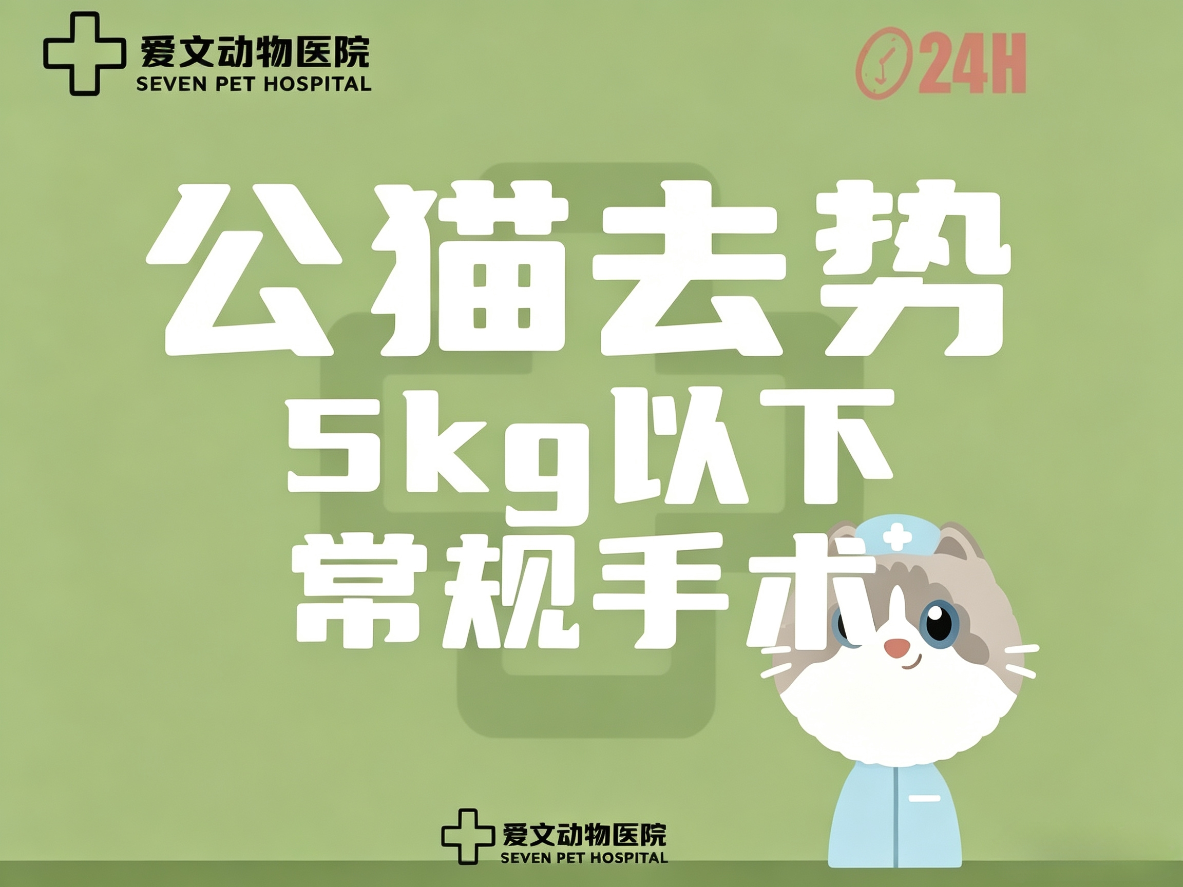 公猫绝育