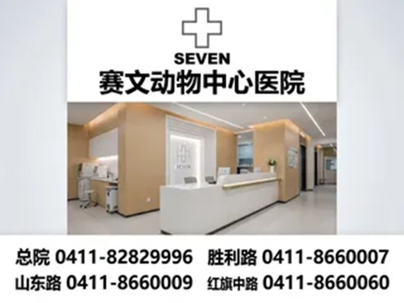 赛文动物医院