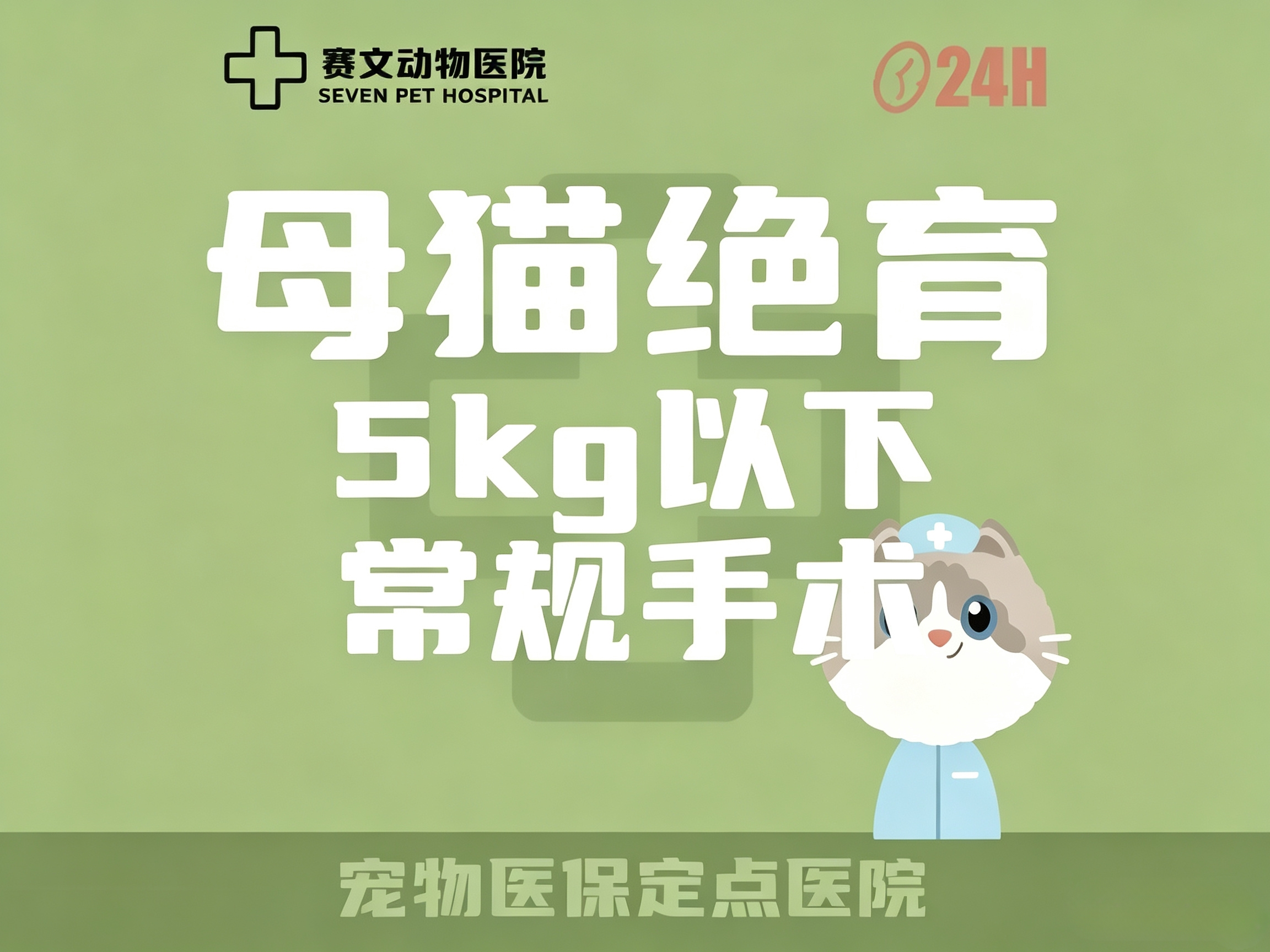母猫绝育
