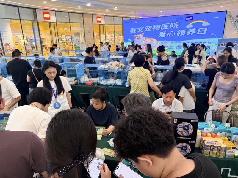领养大会