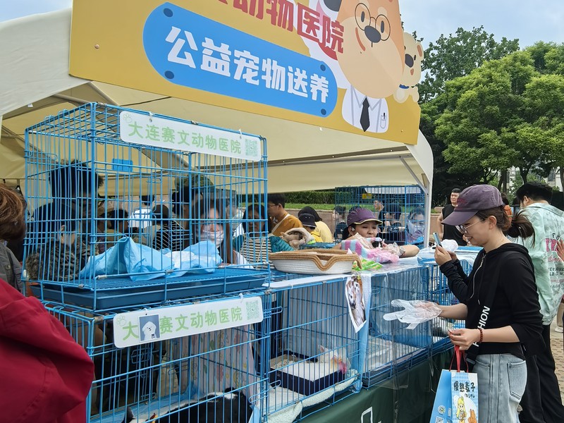 领养大会