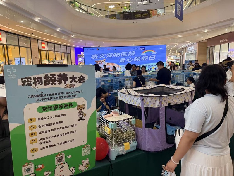 领养大会
