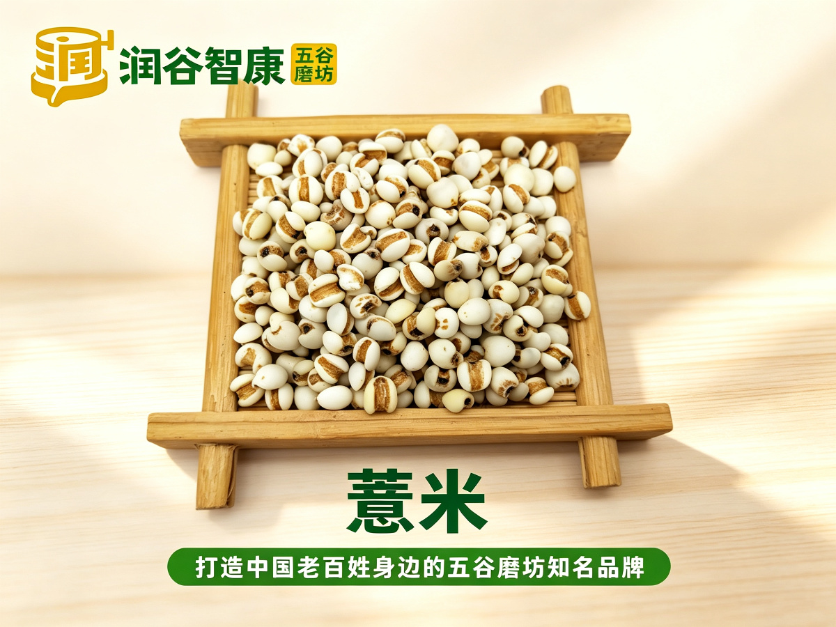 薏米